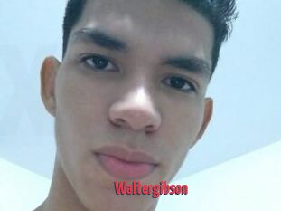Waltergibson