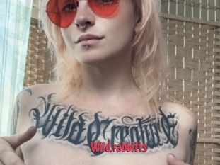 Wild.rabbitts