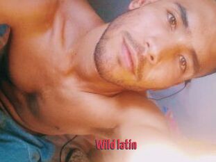 Wild_latin