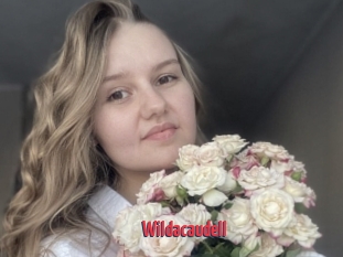 Wildacaudell