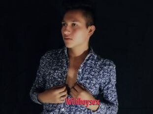 Wildboysex