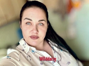 Wilddaisy
