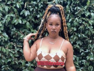 Willllldmedusa