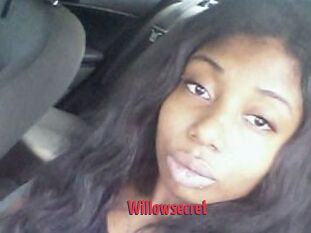 Willow_secret