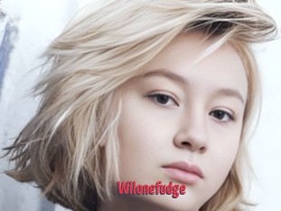 Wilonefudge