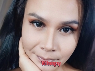 Wilsongay