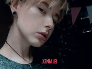 XENIA_JEI