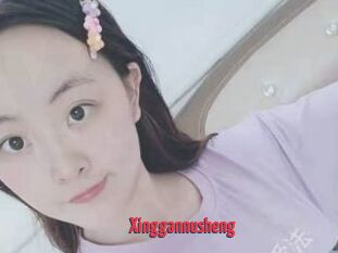Xinggannusheng