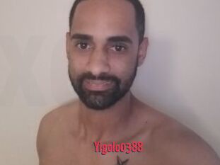 Yigolo0388