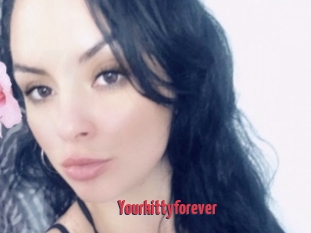 Yourkittyforever