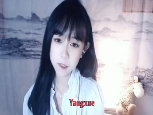 Yangxue