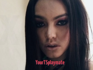 YourTSplaymate