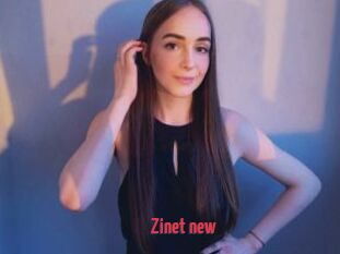 Zinet_new