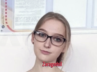Zaragodsil