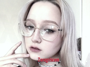 Zaragriscom