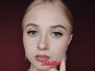 Zeldadilley