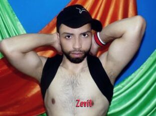 Zevit