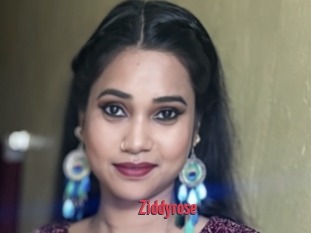 Ziddyrose